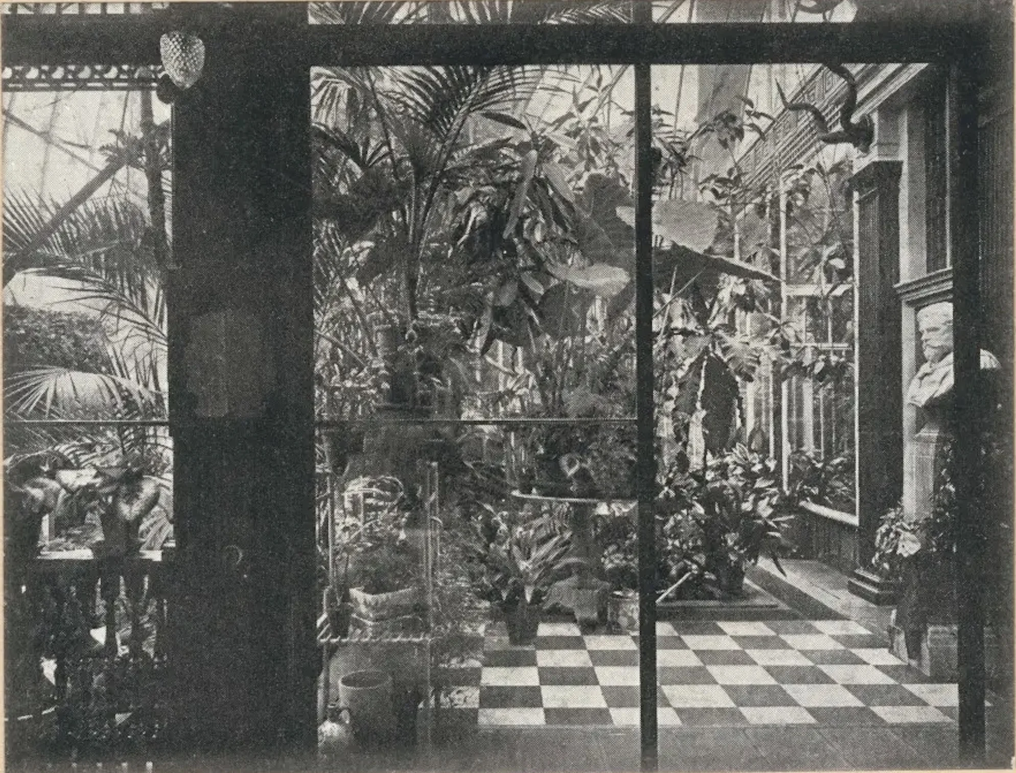 Alma-Tadema Palm House Winter Garden with glass dome and tropical plants, 1912