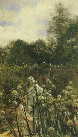 A kitchen garden
