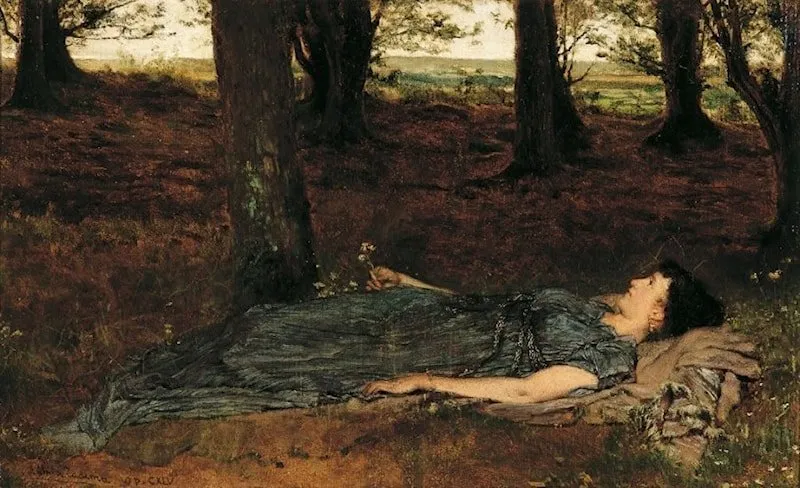 A peep through the trees