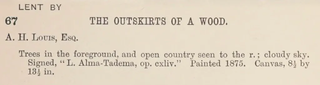 The Outskirts of a Wood