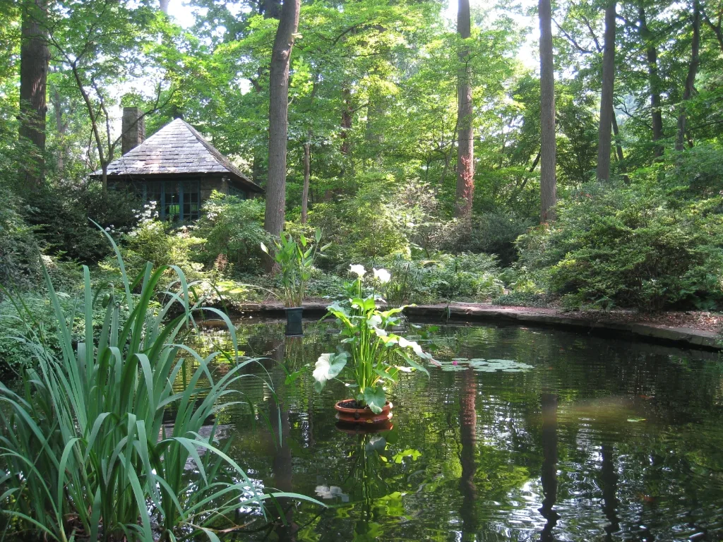 Barnes Foundation, Merion, PA - arboretum pond and teahouse