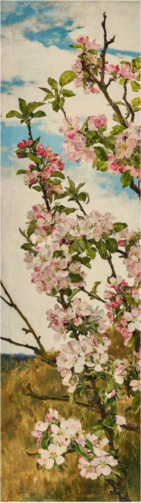Apple Blossoms