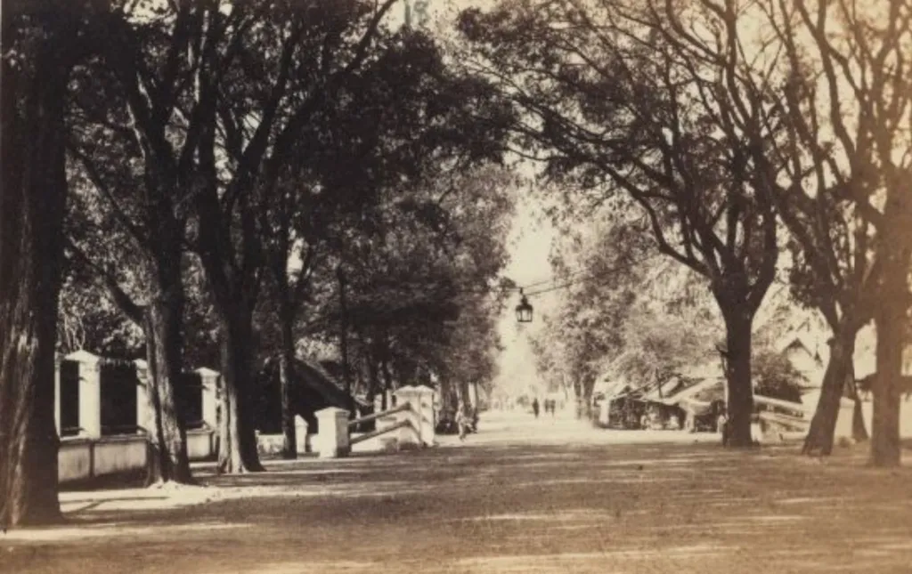 Alma Tadema brothers location - Street in Semarang Kota Lama, Java